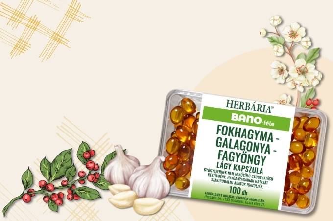 Gyógynövény és Reformélelmiszer Üzlet