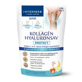   Interherb Kollagén&Hyaluronsav Protect italpor (Eper-Banán) 290 g