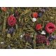 Gyümölcs Pompa sencha zöld tea keverék 22856