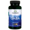 Swanson GABA 500 mg 100 db