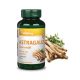 Vitaking Astragalus Kivonat 90 db