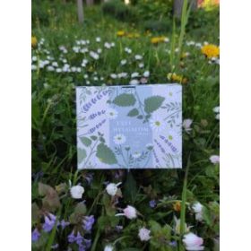 OLAD HERBA Esti Nyugalom filteres tea 24 db