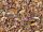 Classic Chai Organic tea 21181