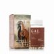 GAL Shoden Ashwagandha 60 db