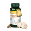Vitaking Süngomba kivonat 500 mg 60 db