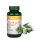 Vitaking Olivalevél kivonat 500 mg 60 db