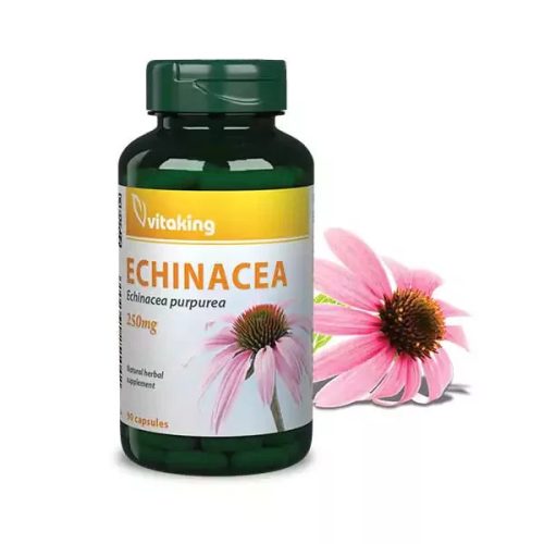 Vitaking Echinacea Bíbor Kasvirág kivonat 250 mg 90 db