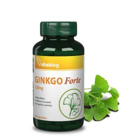 Vitaking Ginkgo biloba forte 120 mg 60 db