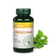Vitaking Ginkgo biloba forte 120 mg 60 db