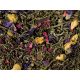 Macabeo (Citrus-Jázmin) zöld és fehér tea keverék 22349