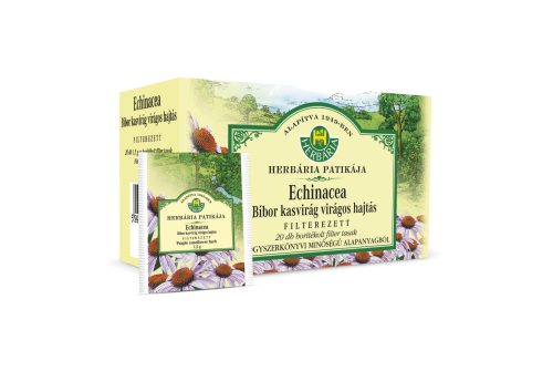 Herbária filterezett echinacea bíbor kasvirág virágos hajtás tea 20x1,5 g