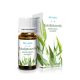 Herbária Wellness Eukaliptuszolaj 10 ml