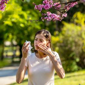 7 módszer a 2026-os tavaszi pollenallergia ellen