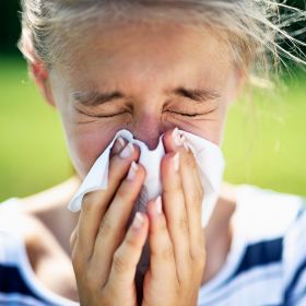 Allergia és gyógynövények: szakértői útmutató a tünetek természetes enyhítésére