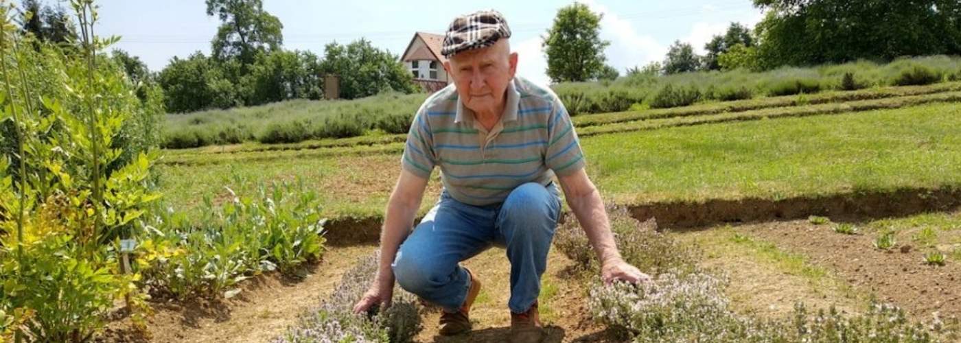 Györgytea: a bükki füvesember gyógynövényes márkája