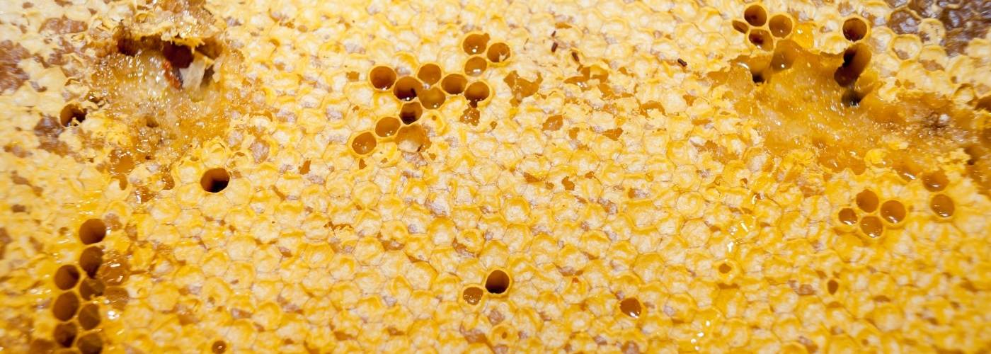 Méhpempő őssejt titka: Bőrfiatalítás sejtszinten