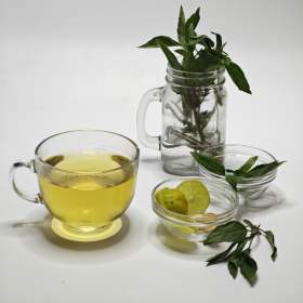 Tavaszi méregtelenítés gyógynövényes teával máj, vese, vértisztítás